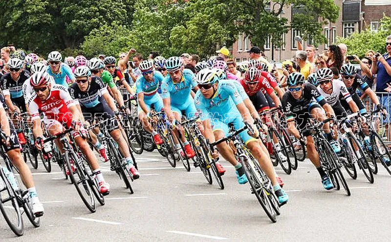 人人体育正版app下载百度网盘