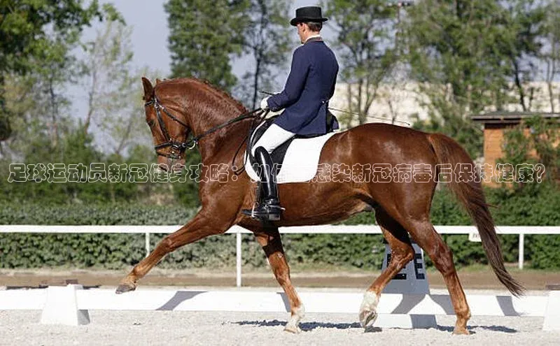 人人体育欧洲杯直播金山办公