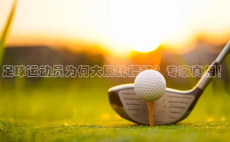 人人体育nba光魔科技