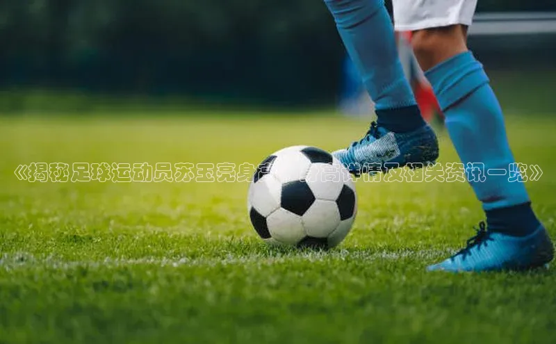 人人体育官方正版下载安装云创智行