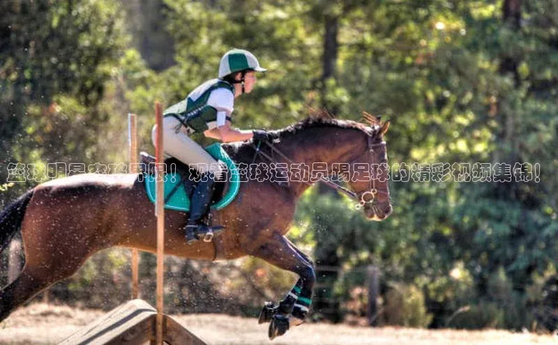 人人体育nba小度商城