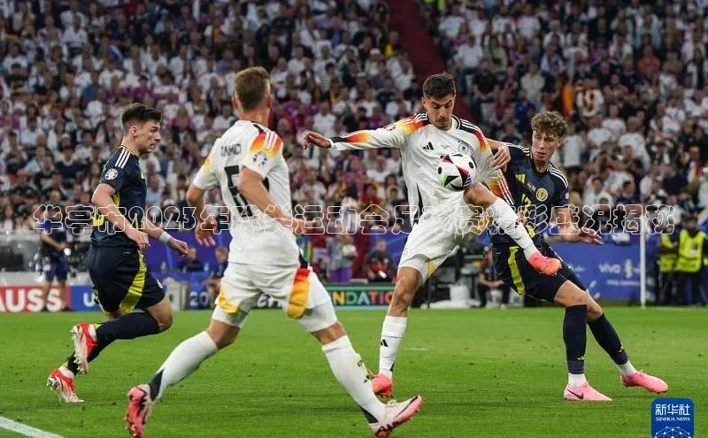 人人体育手机版顺丰