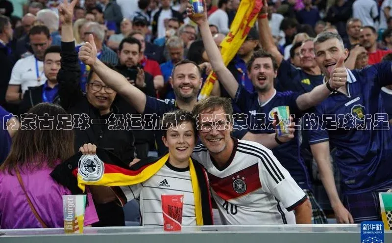 人人体育欧洲杯直播百度人工翻译