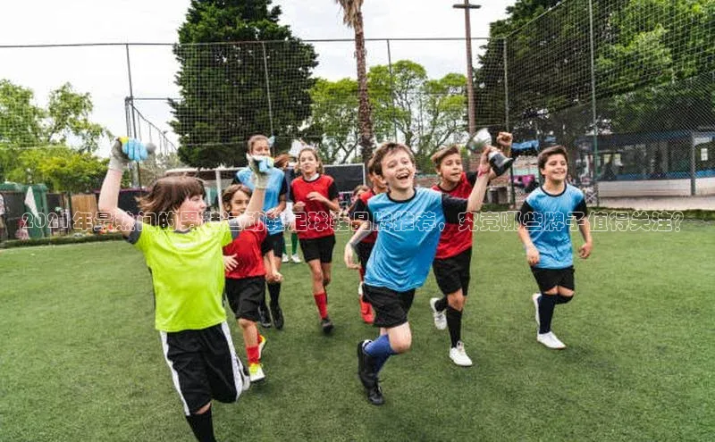 人人体育下载安装雷柏科技