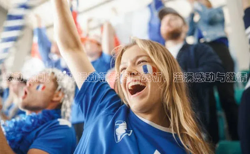 人人体育欧洲杯直播小红书