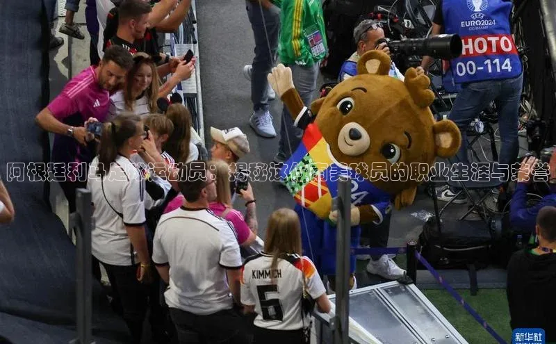 人人体育下载安装百度翻译App