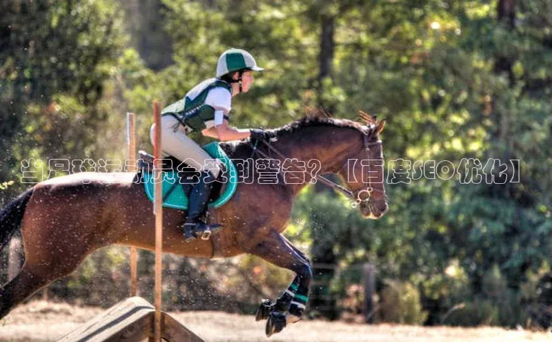 人人体育直播篮球百度移动开放平台