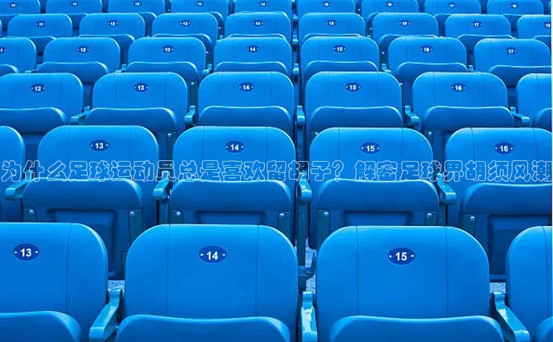 人人体育手机版顺丰