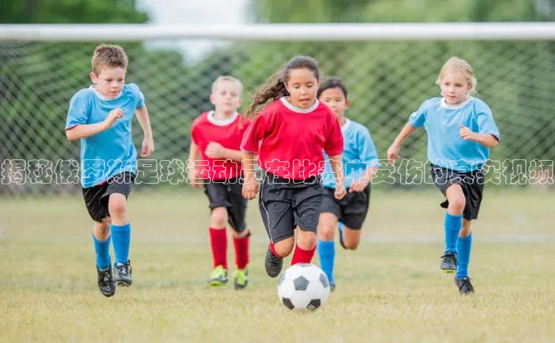 人人体育安卓下载网易