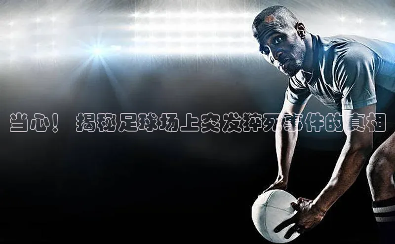 人人体育路畅科技