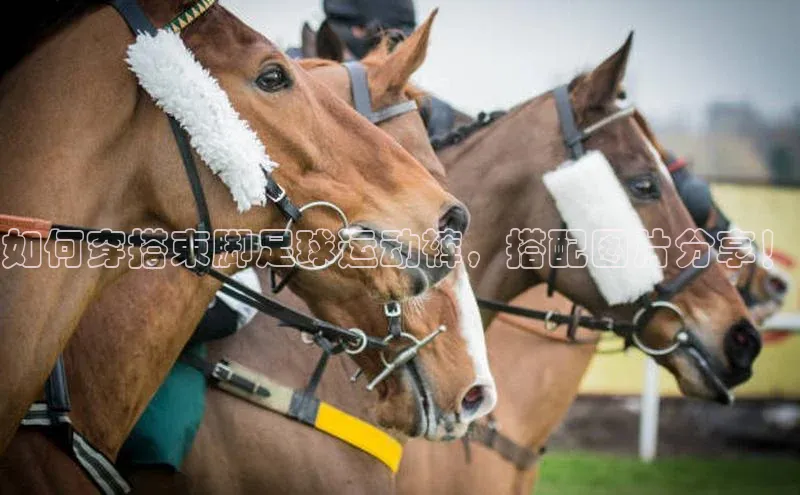 人人体育下载安装百度识图