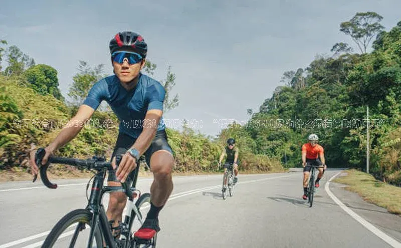 人人体育赛事直播ARGA公司