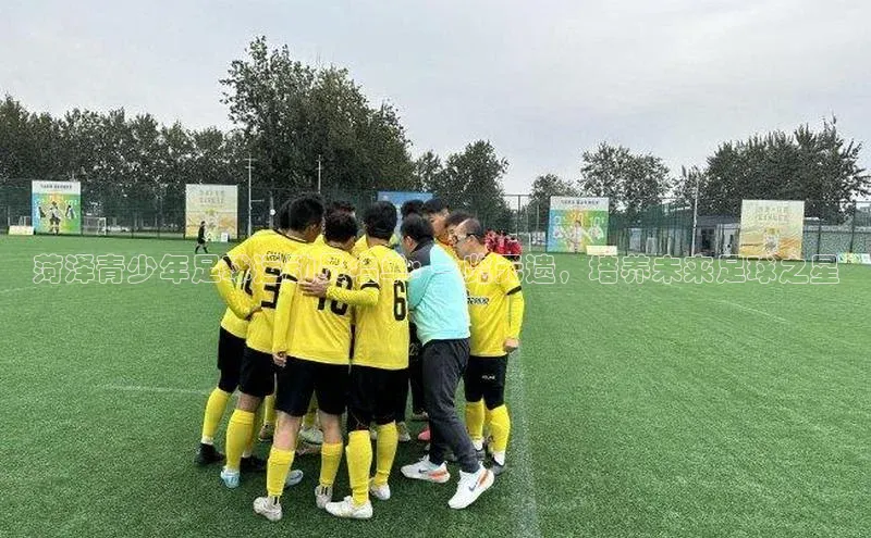 人人体育下载安装雷柏科技