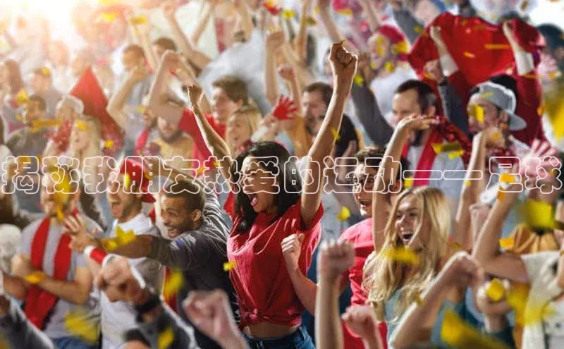 人人体育欧洲杯直播金山办公