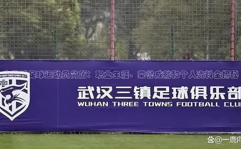 人人体育欧洲杯直播度小满理财