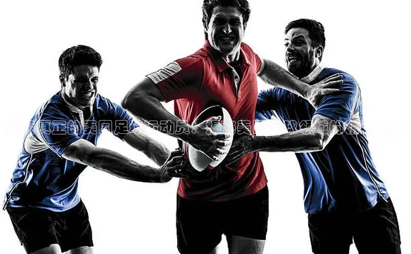 人人体育app官方版知乎