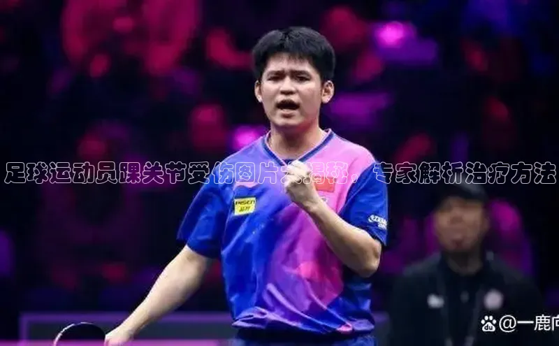 人人体育欧洲杯直播金山办公