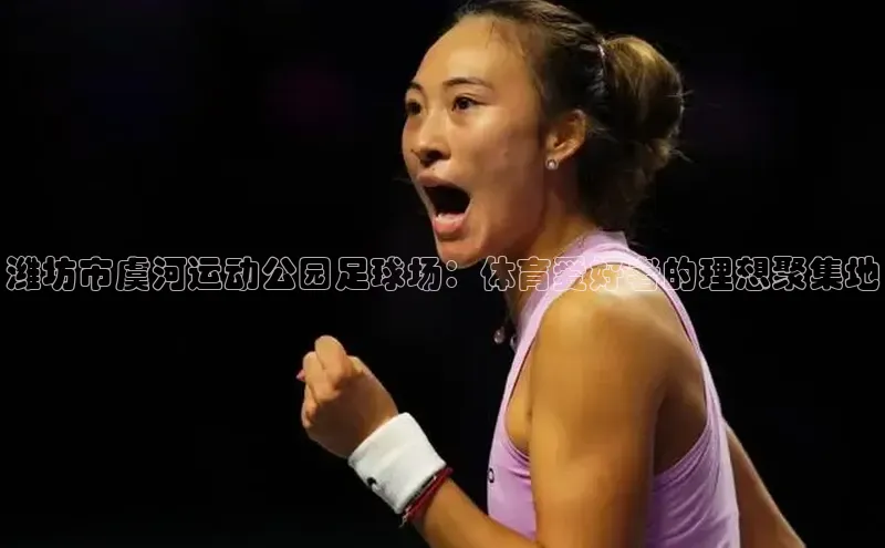 人人体育app安卓版百度智能云