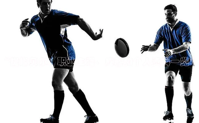 人人体育app官方版知乎