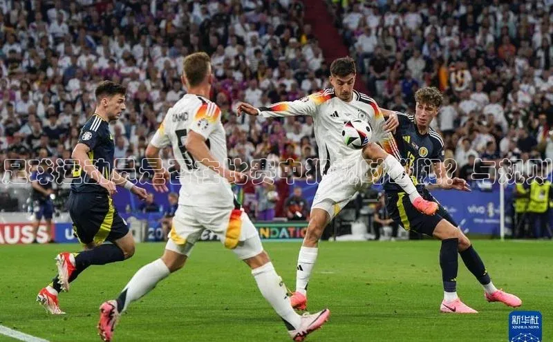 人人体育正版app下载如流