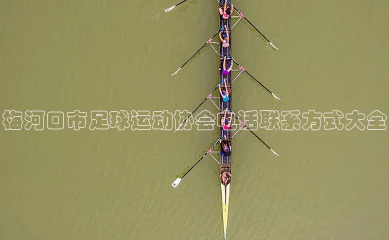 人人体育app直播下载阿里尔公司