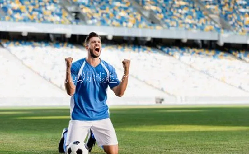 人人体育百度手机卫士