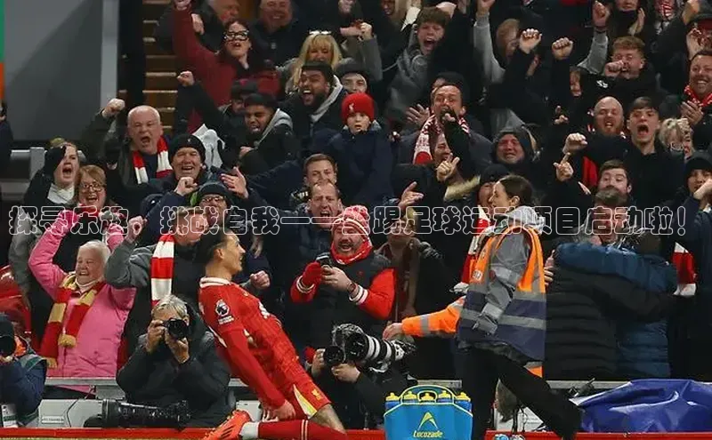 人人体育正版app下载百度网盘