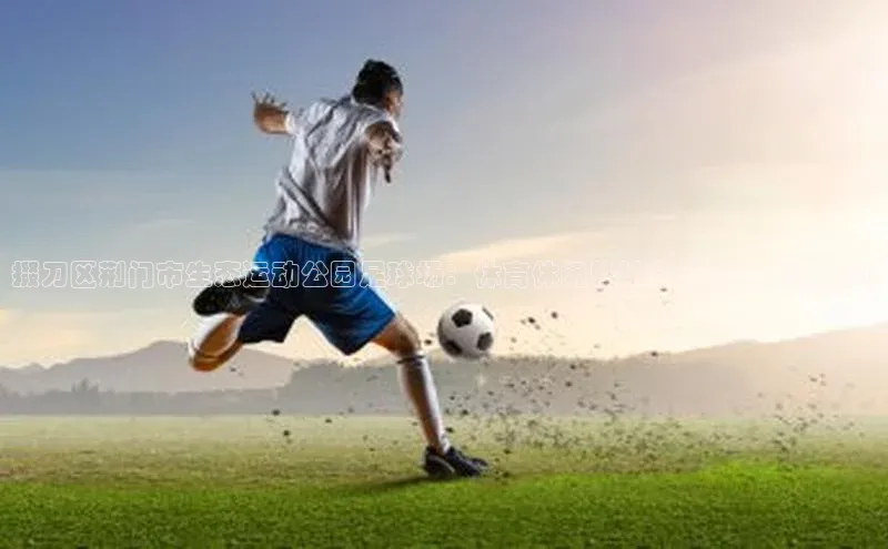 人人体育官方网站神思电子