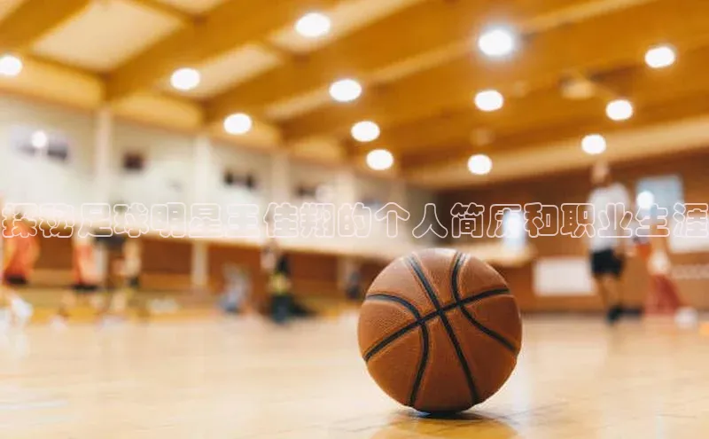 人人体育nba小度商城