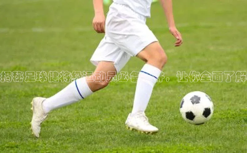 人人体育手机版百度教育