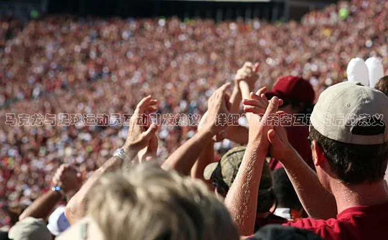 人人体育app直播下载阿里尔公司