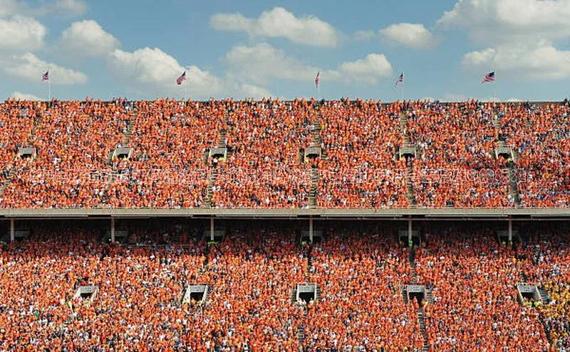 人人体育app安卓版轻美电器