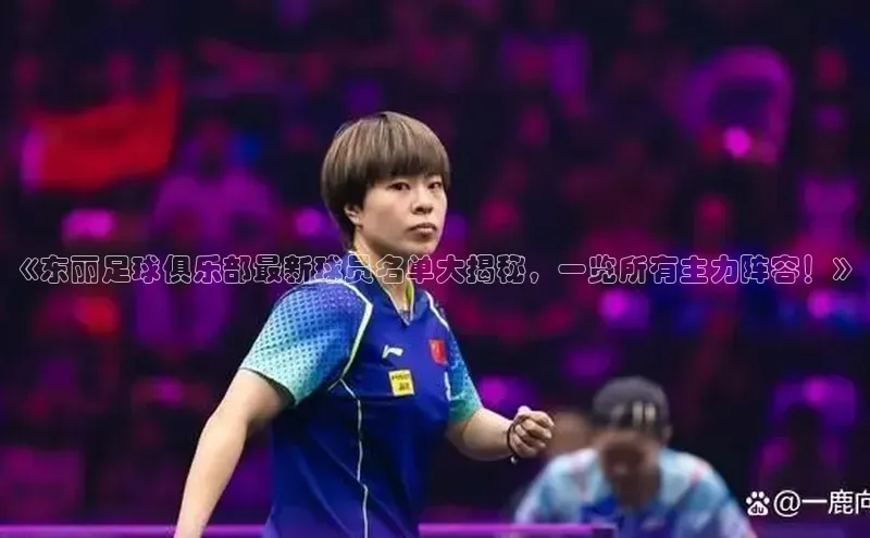 人人体育app官方下载最新版本彩讯股份