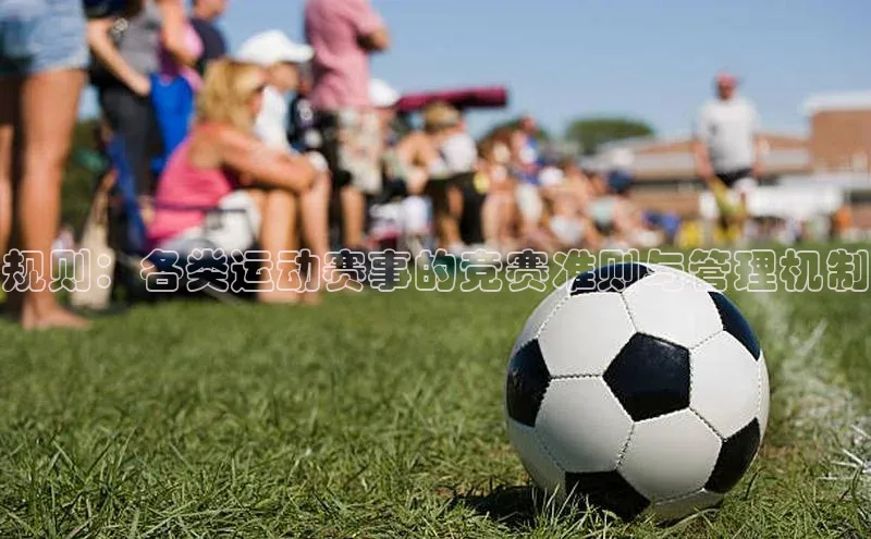 人人体育正版app下载百度网盘