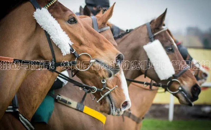 人人体育正版app下载普信公司