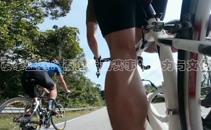 人人体育安卓下载