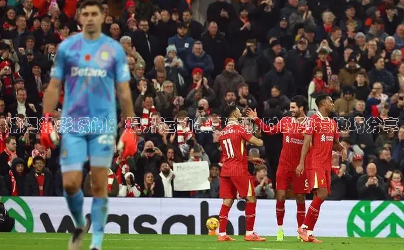 人人体育app安卓版