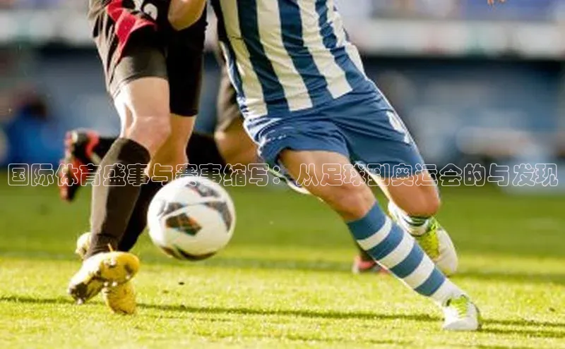 人人体育app官方下载最新版本