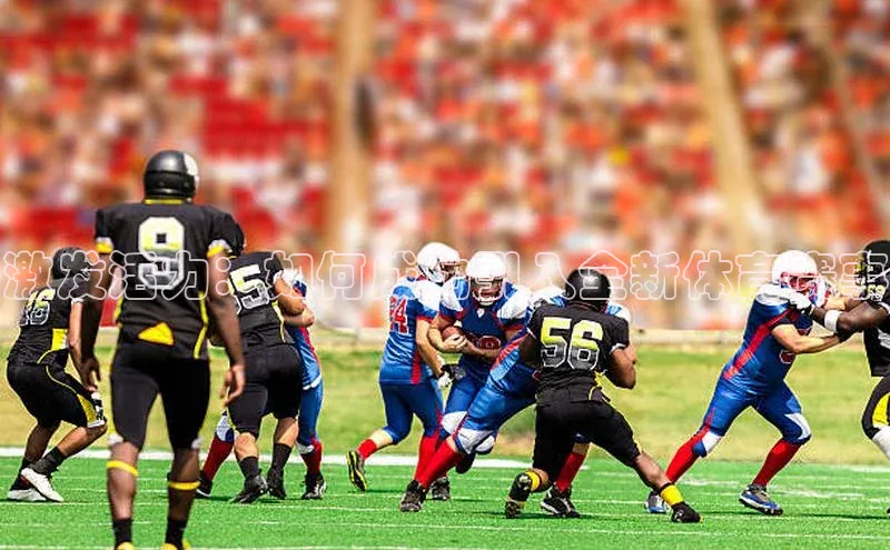 人人体育手机版