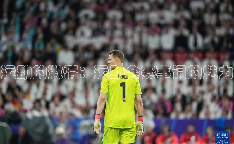 人人体育app安卓版