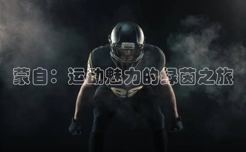 人人体育app官方版