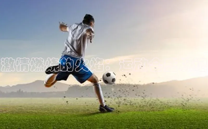 人人体育篮球直播nba下载