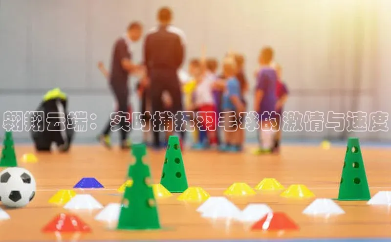 人人体育篮球直播nba下载
